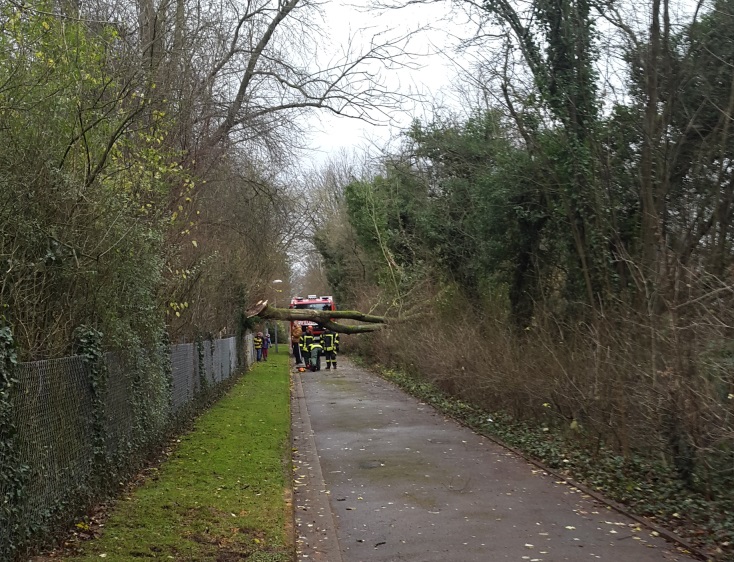Einsatz Nr. 101 / 13.12.2015