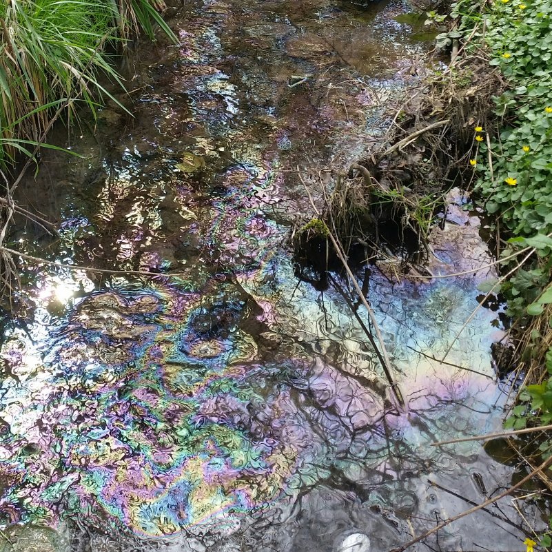 Einsatz Nr. 16 / 03.04.2016