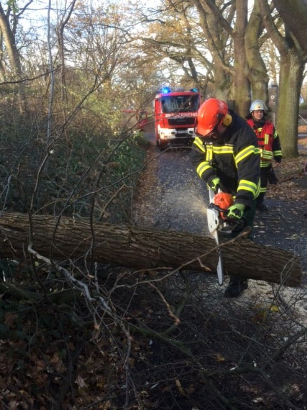 Einsatz Nr. 87 / 20.11.2016