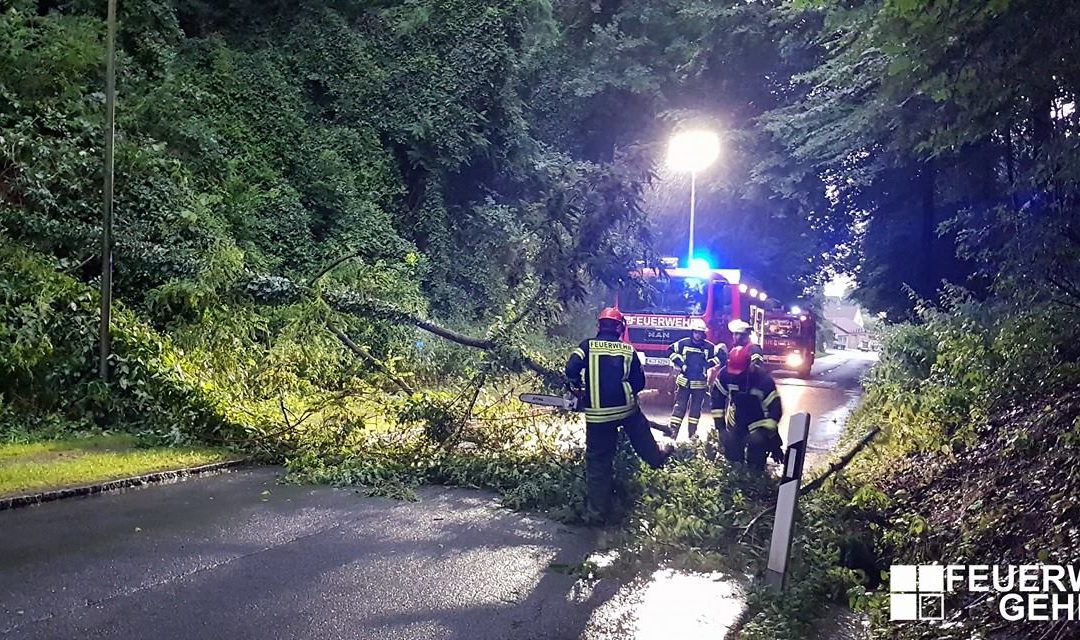 Hilfeleistung – Baum auf Straße