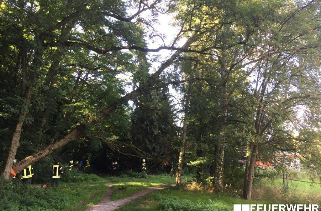 Hilfeleistung – Gefahrenstelle durch entwurzelten Baum