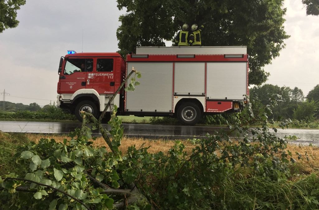 Hilfeleistung – Äste auf Straße