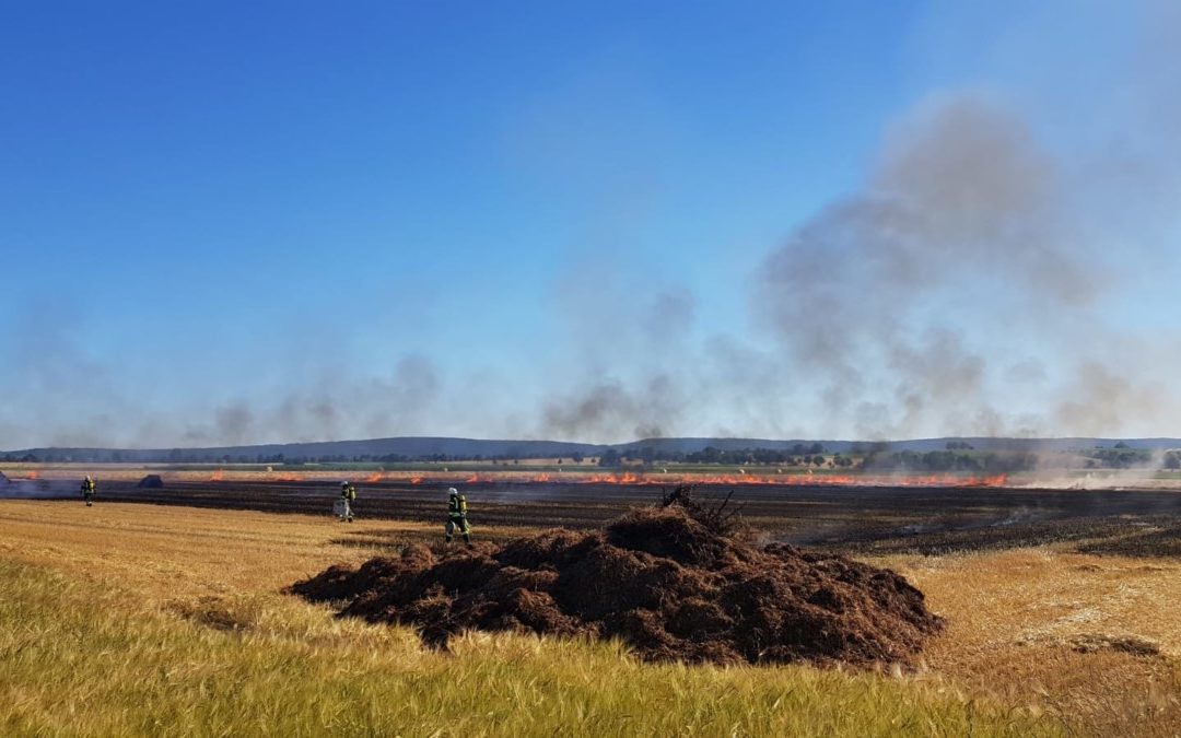 Feuer – Flächenbrand