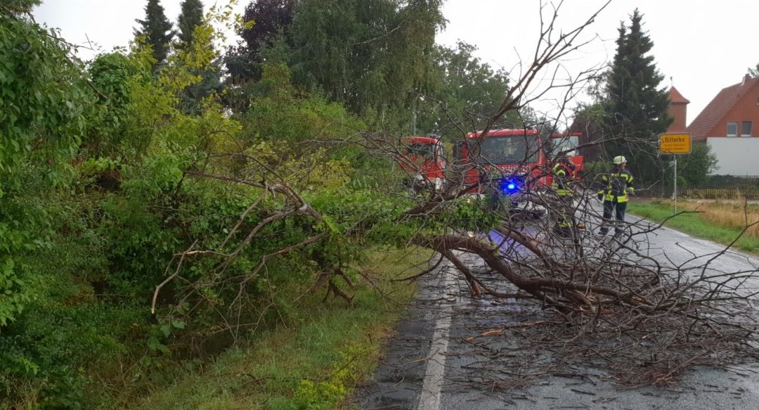Hilfeleistung – Baum auf Straße