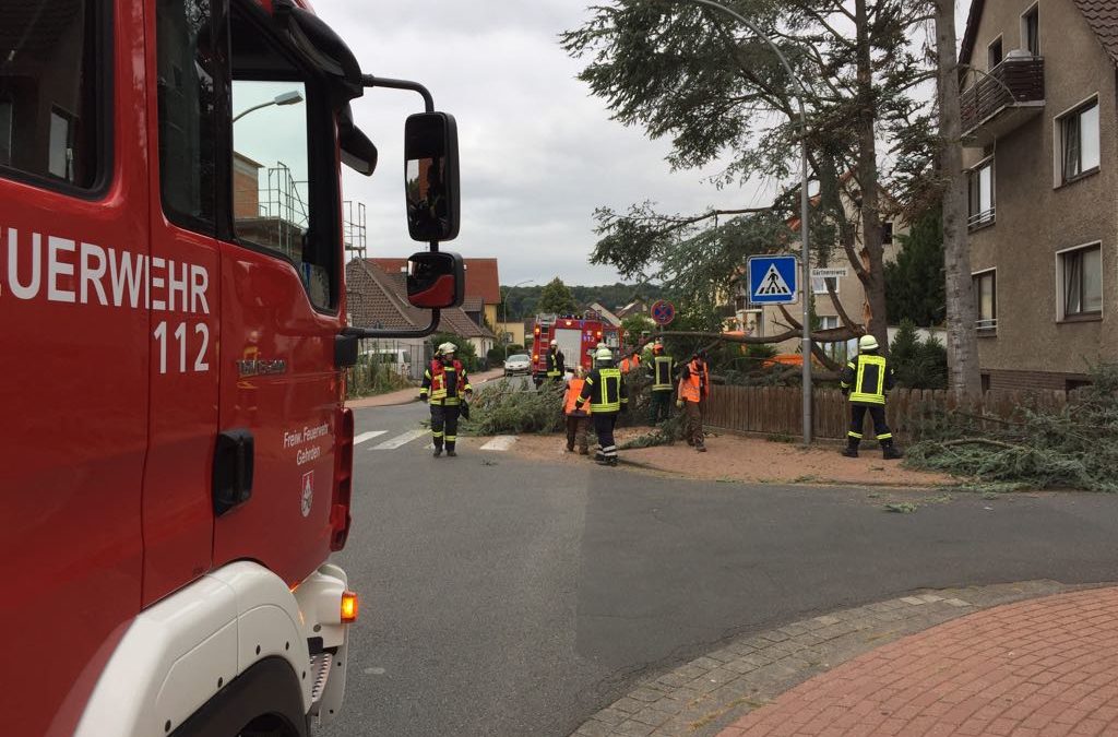 Hilfeleistung – Baum auf Straße
