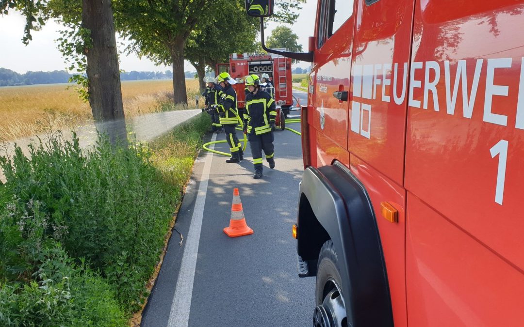 Feuer – Böschungsbrand