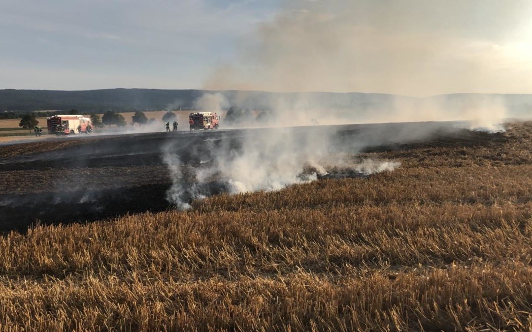 Feuer – Flächenbrand