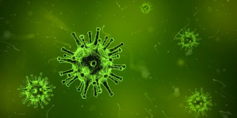 COVID-19 (Coronavirus SARS-CoV-2) – Alle können helfen!