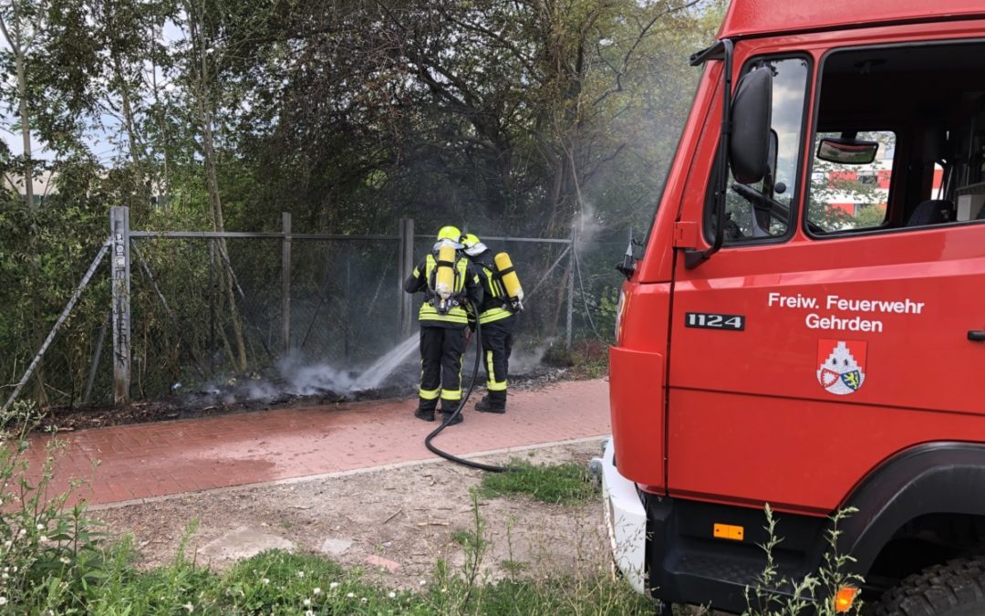 Feuer – Gebüschbrand