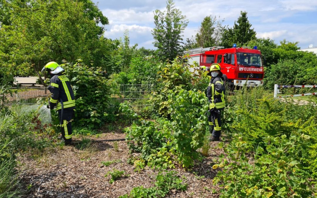 Feuer – brennt Grünstreifen