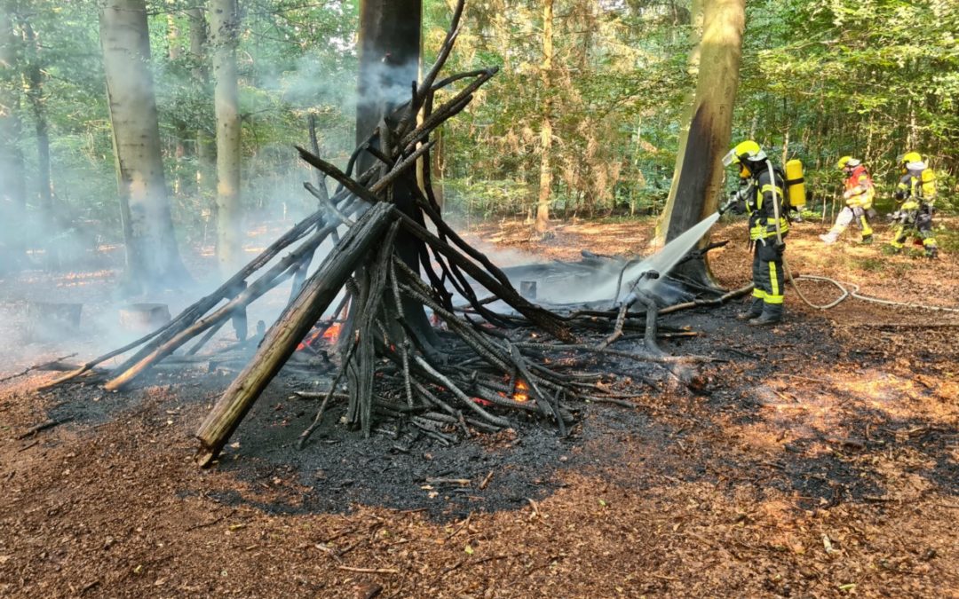 Feuer – Waldbrand
