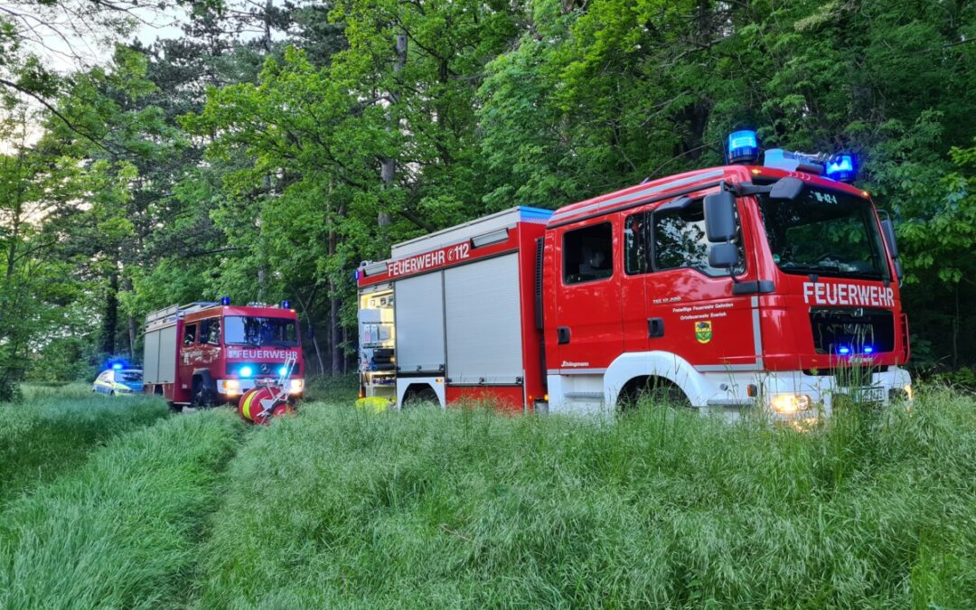 Feuer – Lagerfeuer im Wald