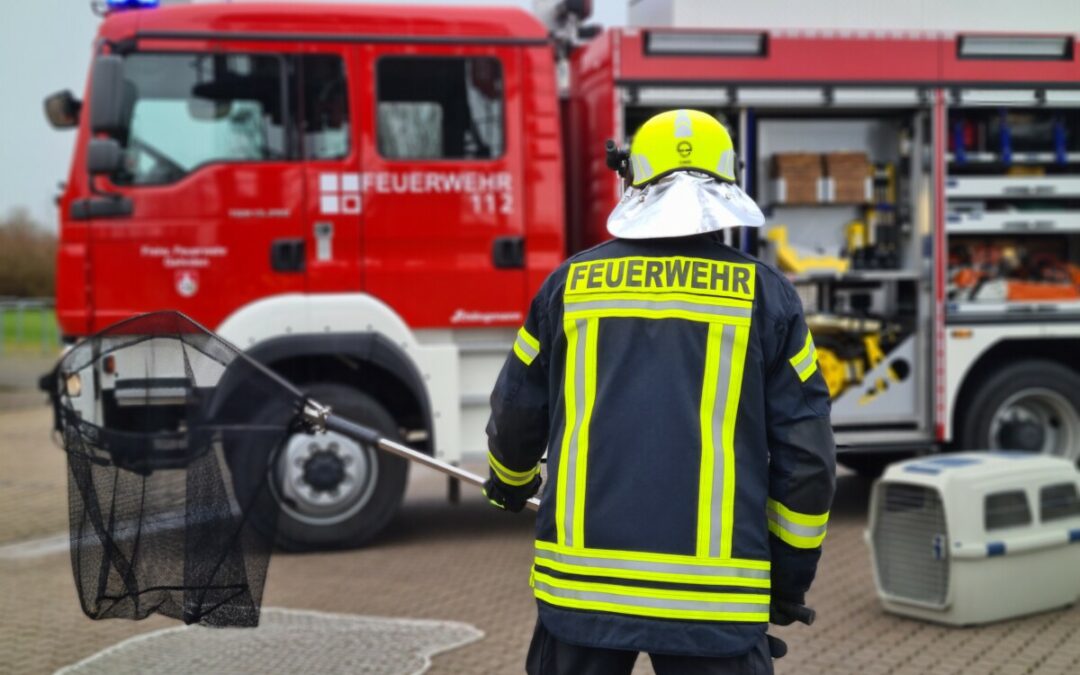 Tierrettung – Hund reglos in PKW