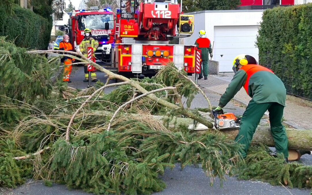 Hilfeleistung – Sturmschaden