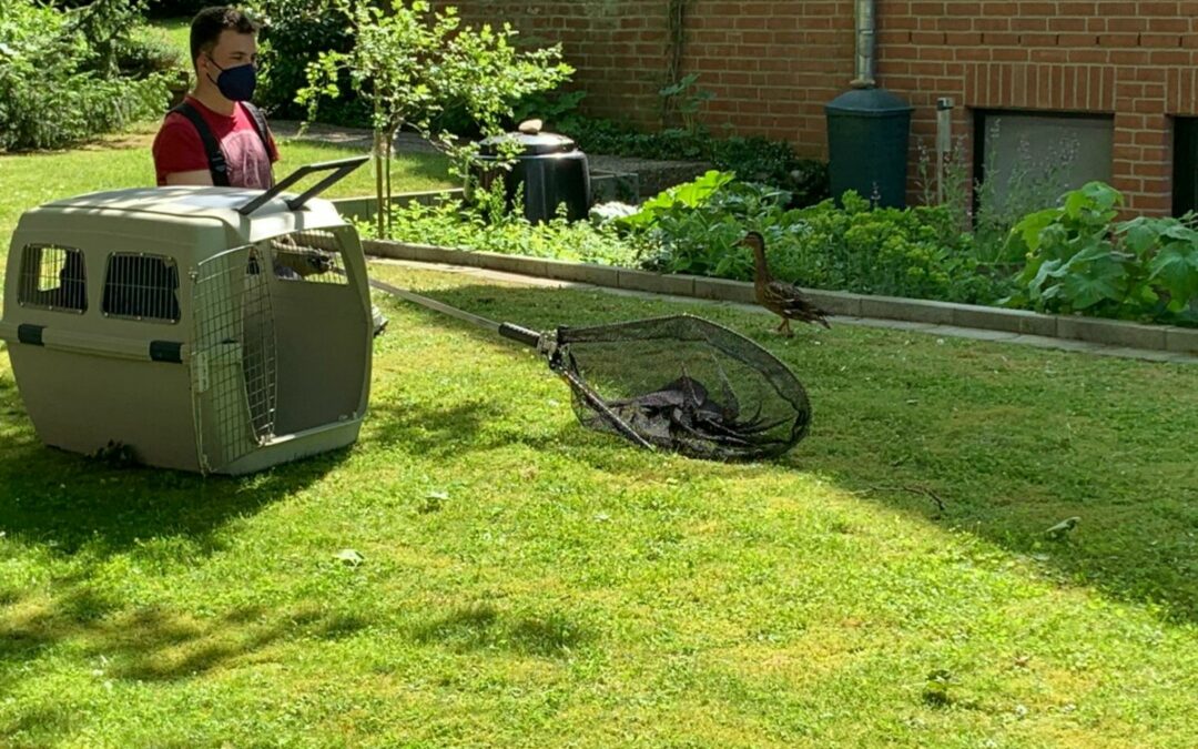 Hilfeleistung – Tierrettung