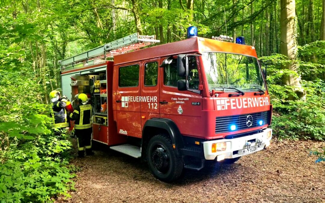 Feuer – glimmende Lagerfeuerstelle im Wald