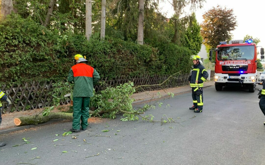 Hilfeleistung – Ast auf Fahrbahn