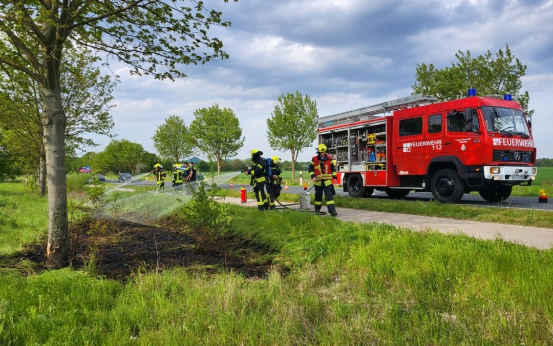 Feuer – Flächenbrand