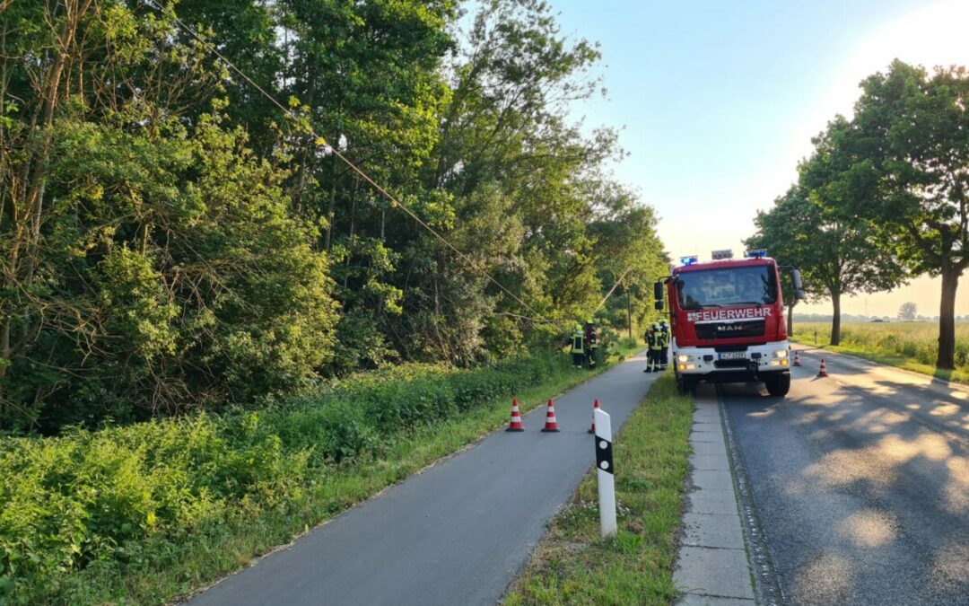 Hilfeleistung – Äste auf Telefonleitung