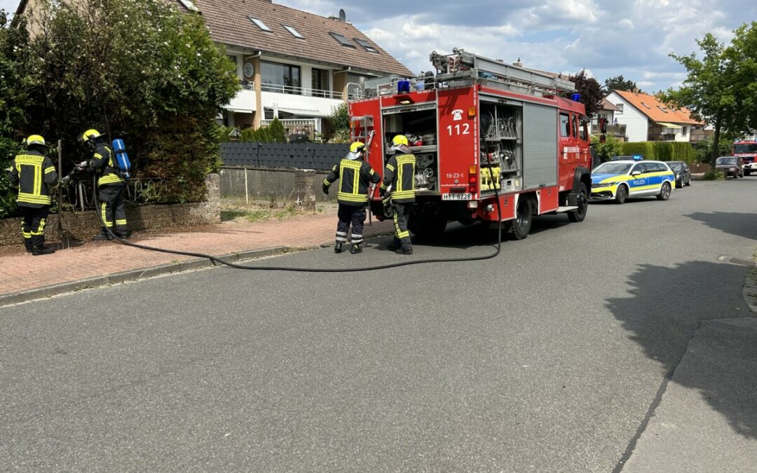 Feuer – Heckenbrand
