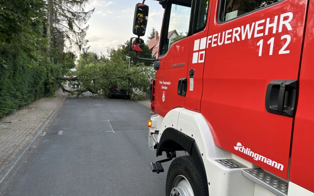 Hilfeleistung – Baum auf PKW gestürzt