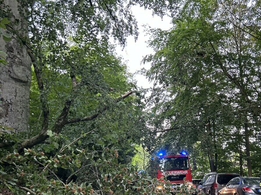 Hilfeleistung – Baum auf Straße