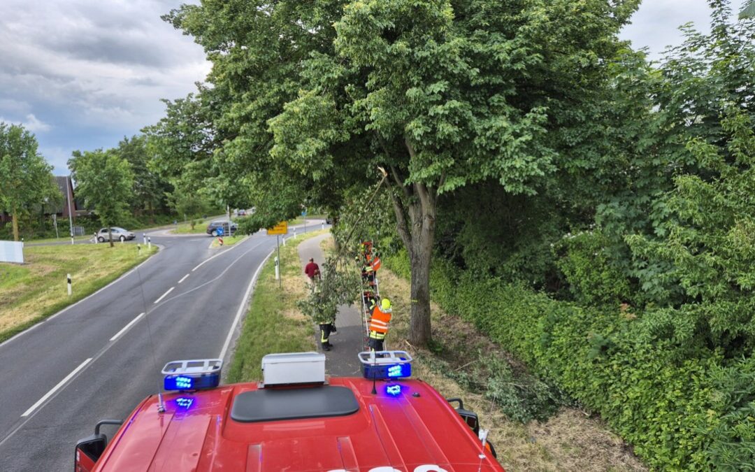 Hilfeleistung – lose Äste drohen auf Radweg zu stürzen