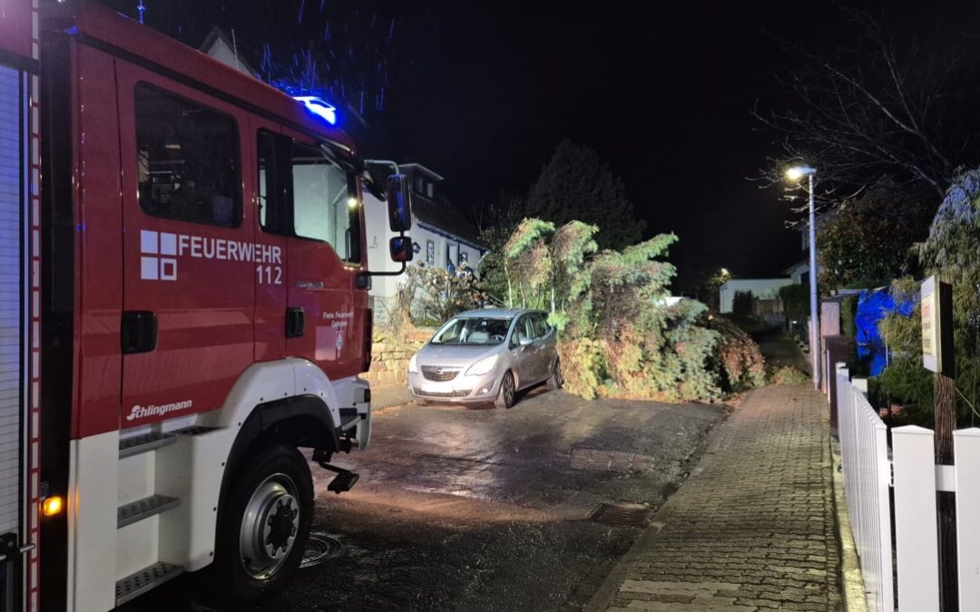 Hilfeleistung – Baum auf PKW
