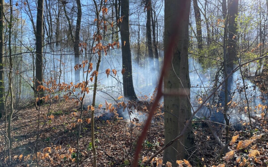 Feuer – Waldbrand