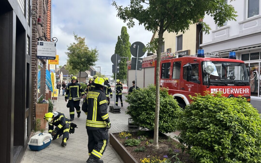 Hilfeleistung – Tierrettung