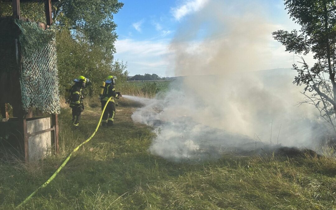 Feuer – Vegetationsbrand