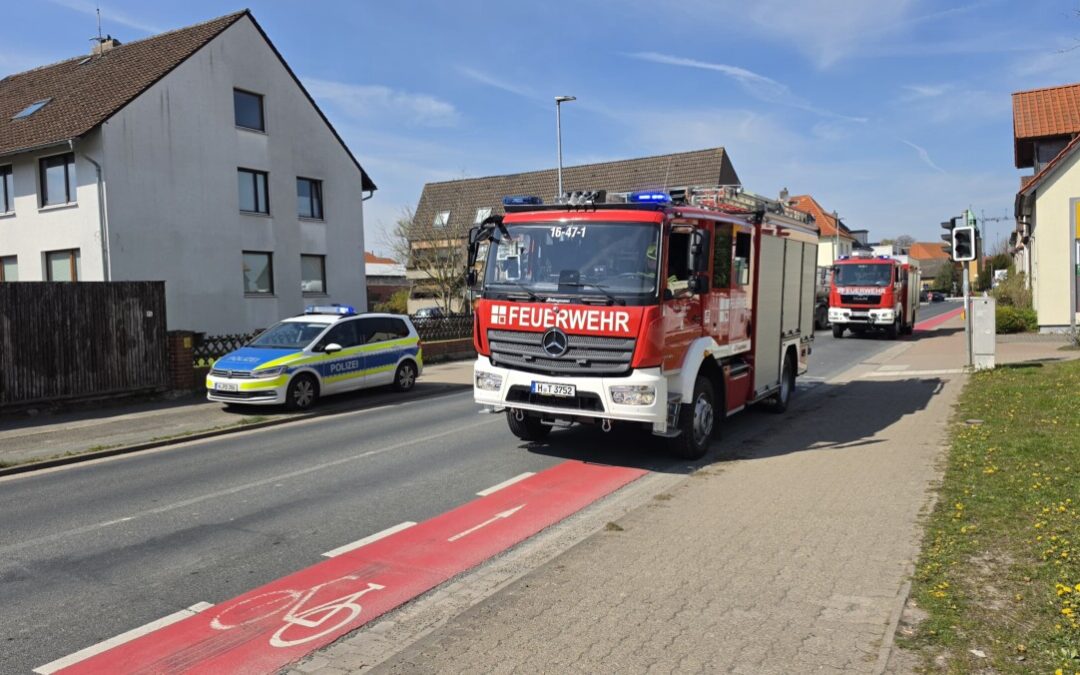 Feuer – Vegetationsbrand