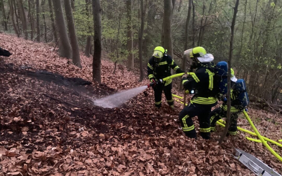 Feuer – Vegetationsbrand
