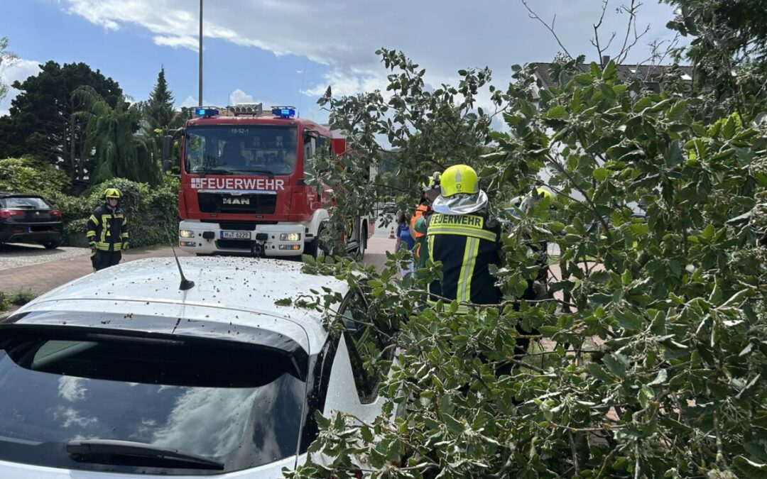 Hilfeleistung – Baum auf PKW