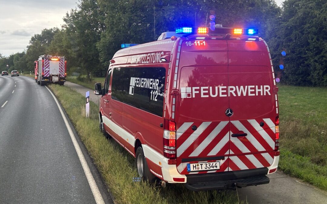 Feuer – Gebüschbrand
